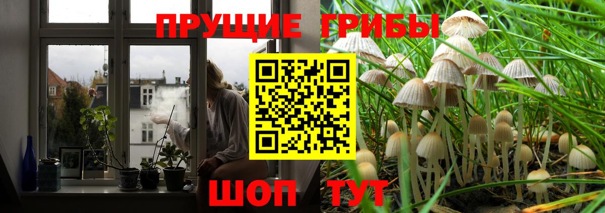 Псилоцибиновые грибы мицелий  Вход с VPN  Псилоцибиновые грибы GOLDEN TEACHER  как найти   Бахчисарай 